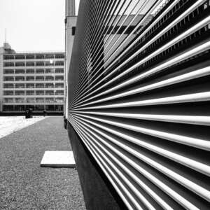Fencing